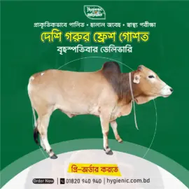 Deshi Beef (Mixed)